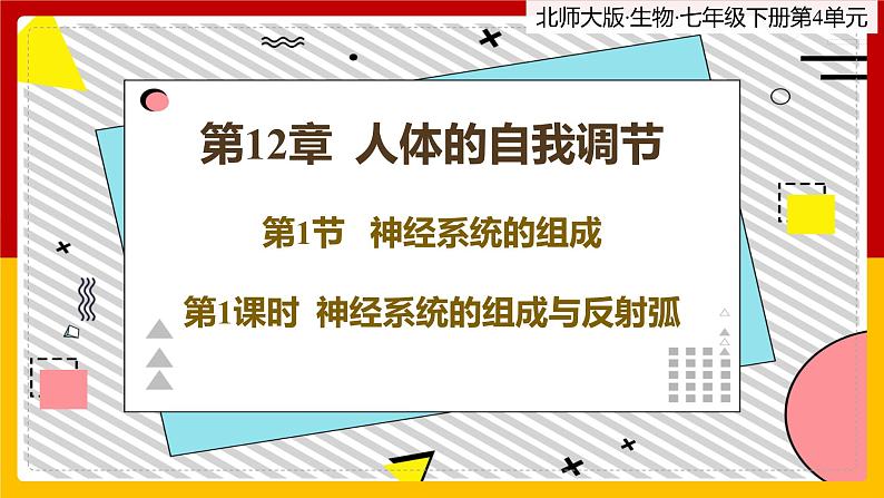 12.1.1《神经系统的组成》课件PPT+教案+同步练习01