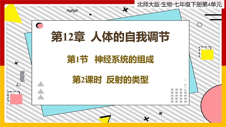 12.1.2《神经系统的组成》课件PPT+教案+同步练习01