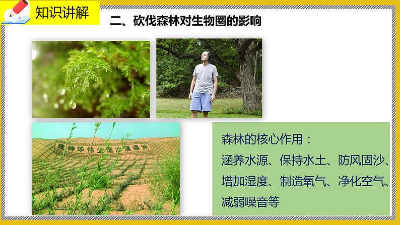 14.1《人类活动对生物圈的影响》课件PPT+教案+同步练习08