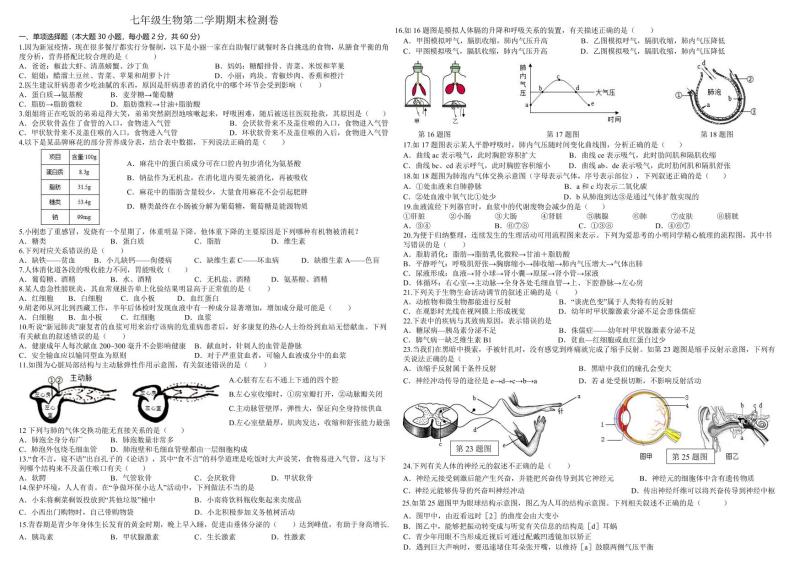 七年级生物第二学期期末检测卷01