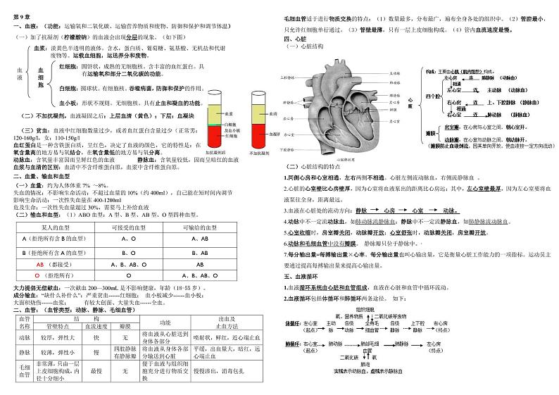 七下生物复习资料（北师大版） 试卷02