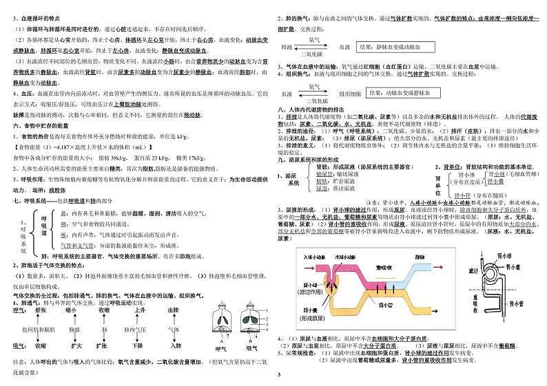 七下生物复习资料（北师大版） 试卷03