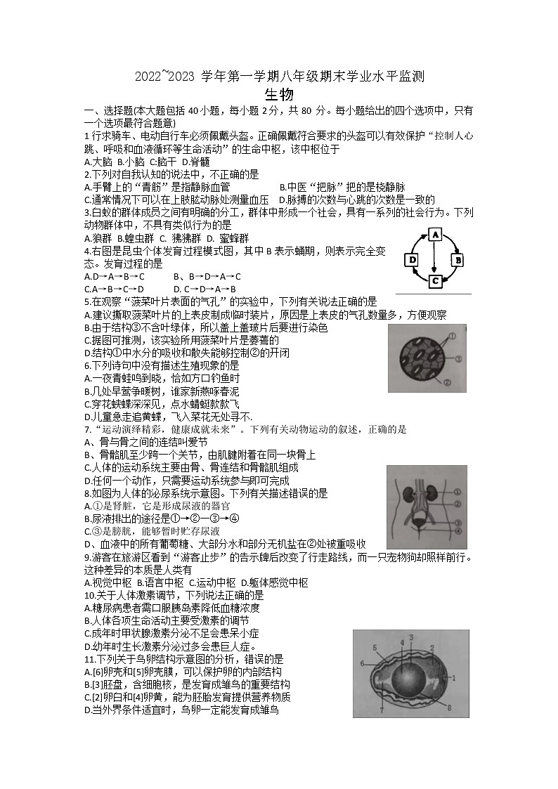 江苏省宿迁市泗阳县2022-2023学年八年级上学期期末学考试生物试题第1页