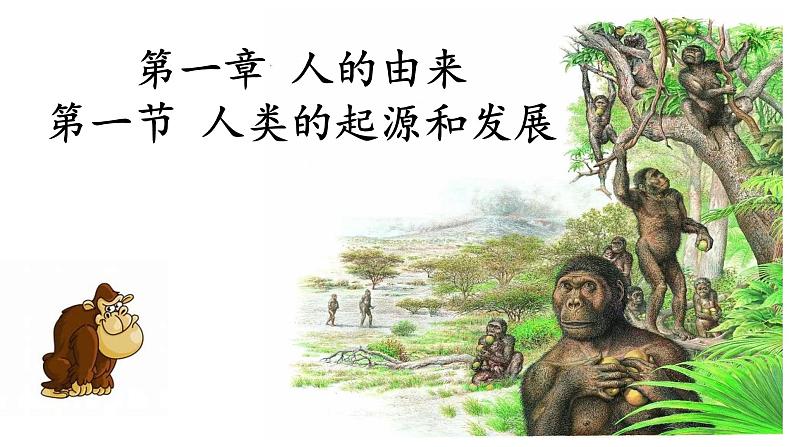 4.1.1人类的起源和发展课件01