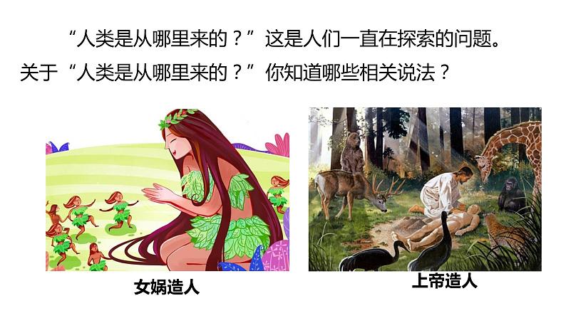 4.1.1人类的起源和发展课件03