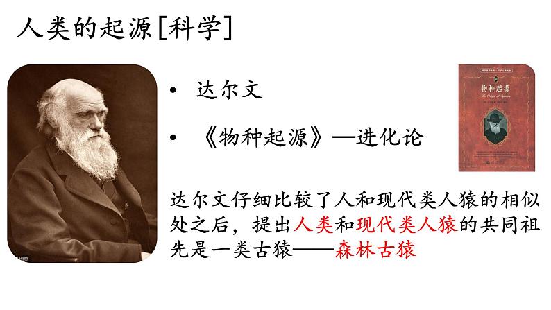 4.1.1人类的起源和发展课件04