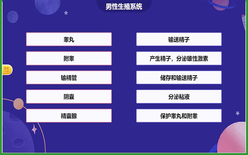 4.1.2人的生殖课件第8页