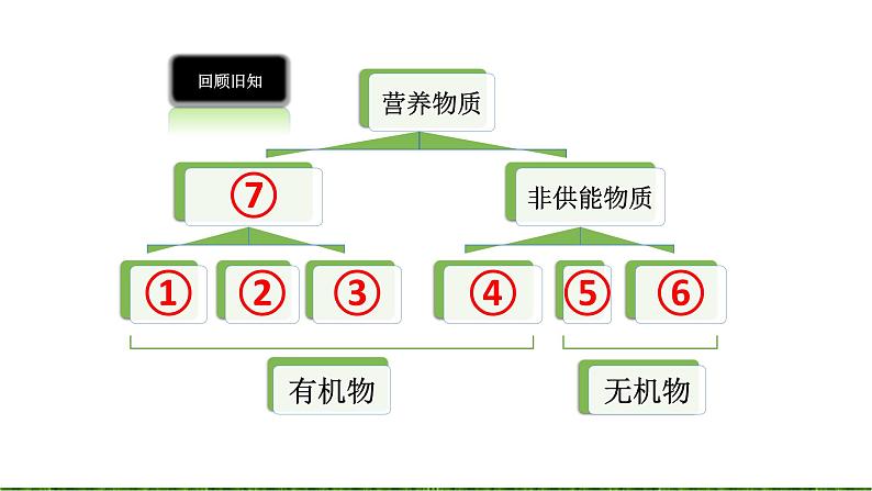 4.2.2消化和吸收(2课时）课件01