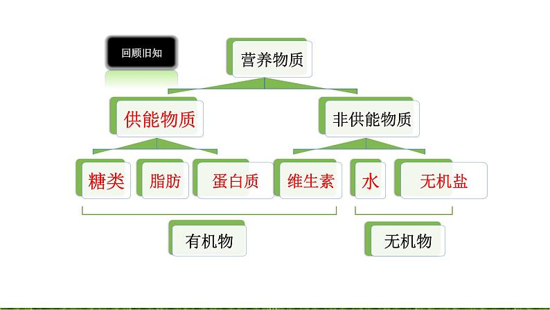 4.2.2消化和吸收(2课时）课件02