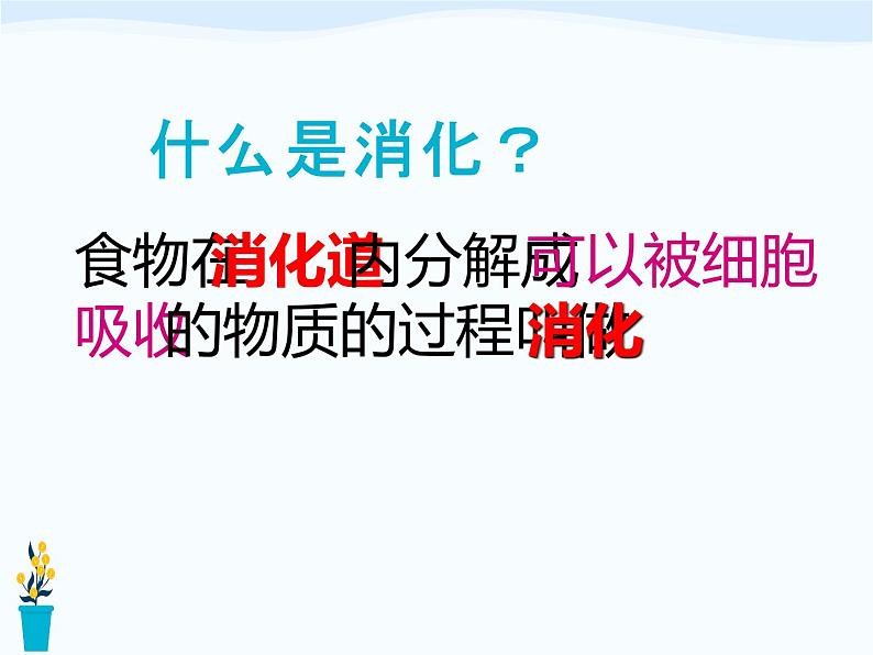4.2.2消化和吸收课件第6页