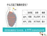 4.3.2发生在肺内的气体交换课件