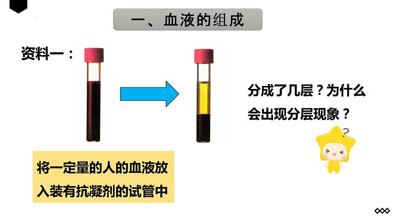 4.4.1流动的组织——血液课件02