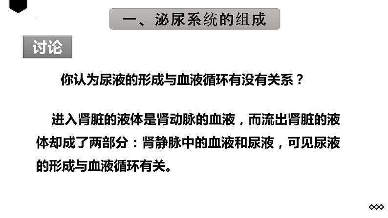 4.5人体内废物的排出课件07