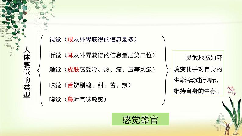 4.6.1人体对外界环境的感知课件第2页