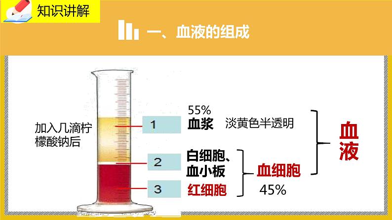 9.1.1《血液》课件PPT+教案+同步练习05