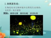 北师大版生物八年级下册 21.1生命的起源 课件