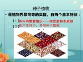 北师大版生物八年级下册 22.3.2植物的主要类群 第二课时 课件