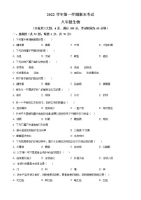 广东省广州市天河明珠中英文学校2022-2023学年八年级上学期期末生物试题