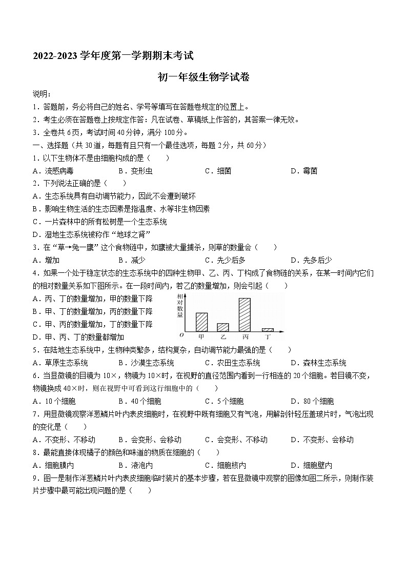 广东省深圳中学等部分中学2022-2023学年七年级上学期期末生物试题（含答案）第1页