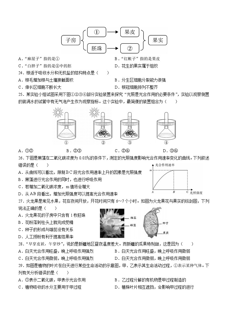 广东省深圳中学等部分中学2022-2023学年七年级上学期期末生物试题（含答案）第3页