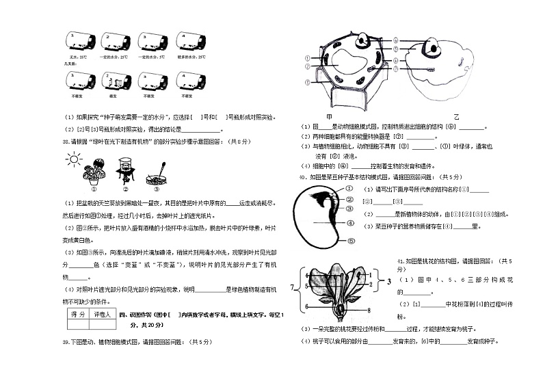 黑龙江省讷河市2022-2023学年七年级上学期期末考试生物试题（含答案）第3页