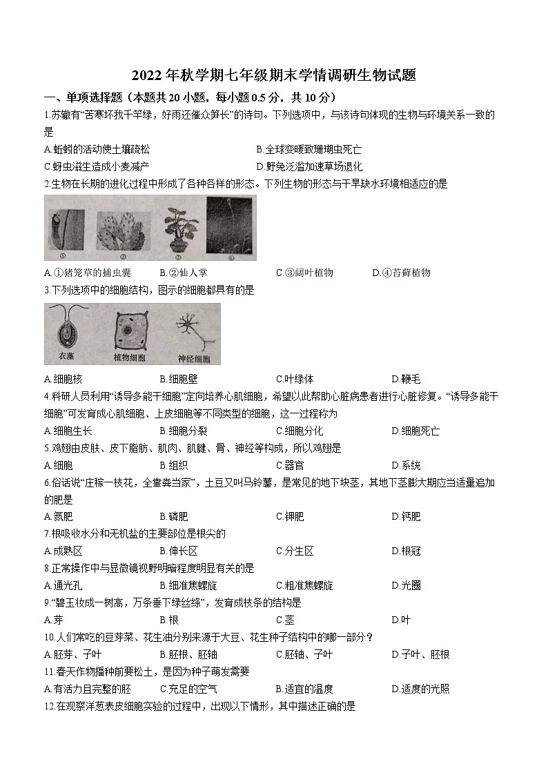 江苏省盐城市阜宁县2022-2023学年七年级上学期期末生物试题（含答案）第1页
