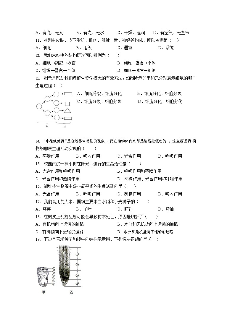 河北省廊坊市三河市燕郊金子塔学校2022-2023学年七年级上学期期末考试生物试题02