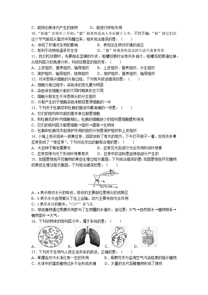 河南省三门峡市渑池县2022-2023学年七年级上学期期末生物试题第2页