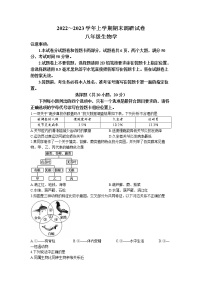 河南省舞钢市2022-2023学年八年级上学期期末生物试题