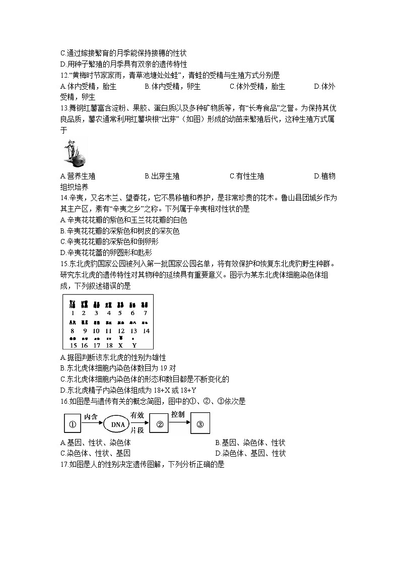 河南省舞钢市2022-2023学年八年级上学期期末生物试题03