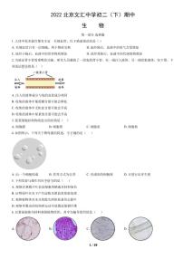 2022年北京文汇中学初二（下）期中生物试卷含答案解析