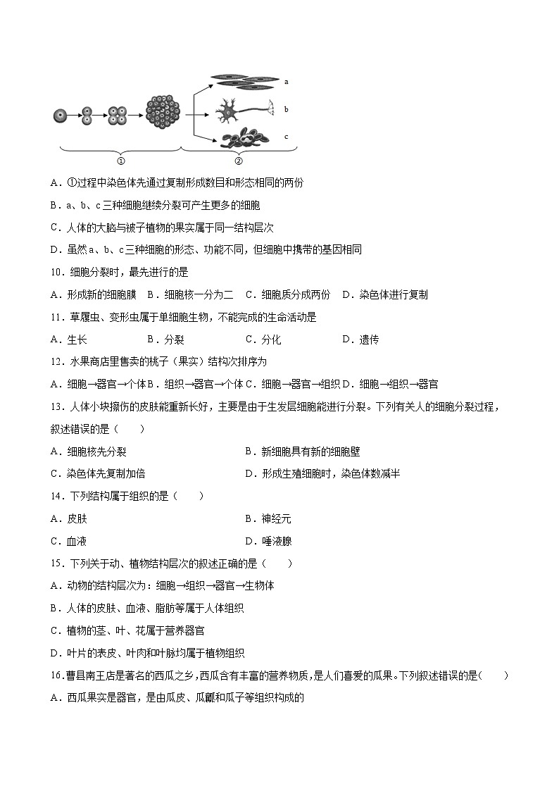 04 细胞怎样构成生物体（原卷版+解析版）——【中考二轮复习】2023年生物通用版专题训练03