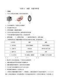 11 细菌、真菌和病毒（原卷版+解析版）——【中考二轮复习】2023年生物通用版专题训练