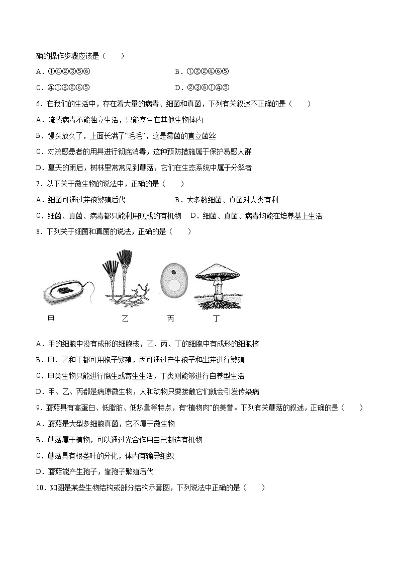 11 细菌、真菌和病毒（原卷版+解析版）——【中考二轮复习】2023年生物通用版专题训练02