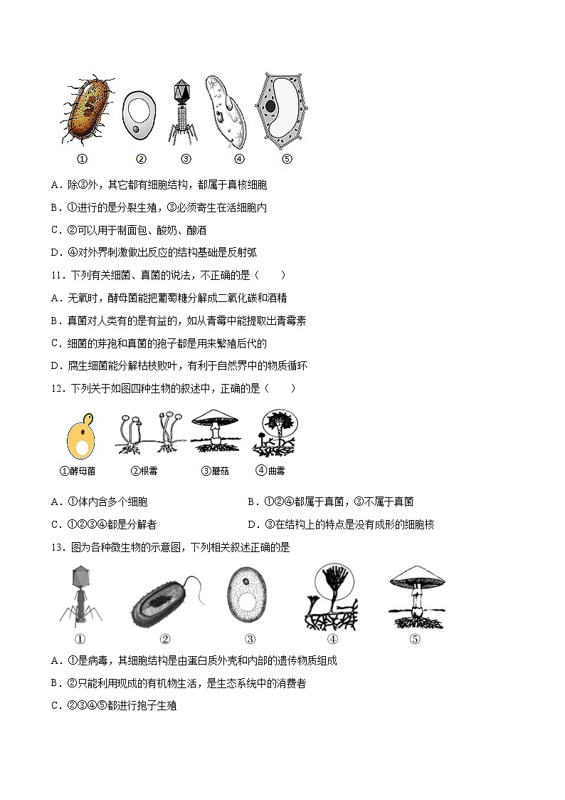 11 细菌、真菌和病毒（原卷版+解析版）——【中考二轮复习】2023年生物通用版专题训练03