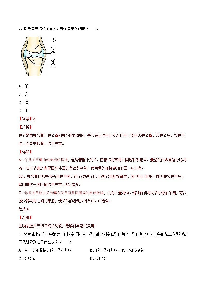 12 动物的运动和行为（原卷版+解析版）——【中考二轮复习】2023年生物通用版专题训练03