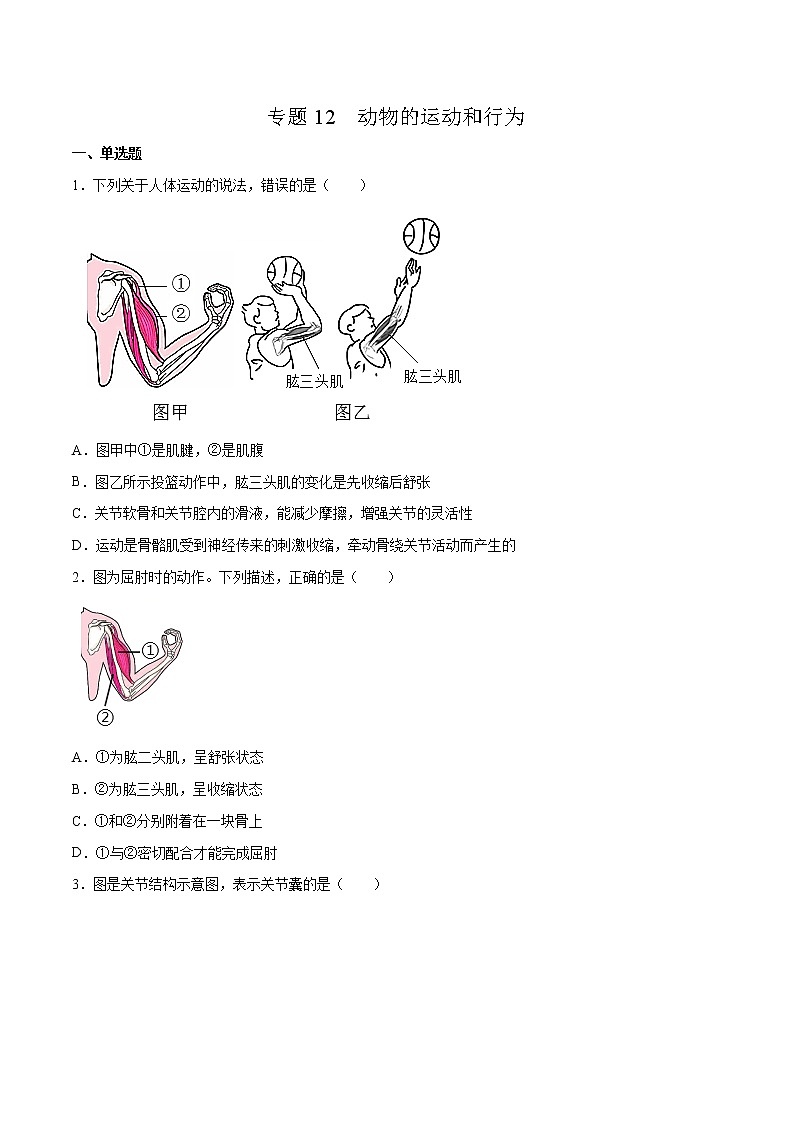 12 动物的运动和行为（原卷版+解析版）——【中考二轮复习】2023年生物通用版专题训练01