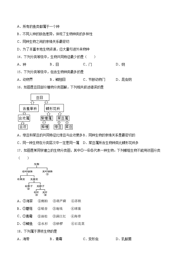 13 生物多样性的认识及其保护（原卷版+解析版）——【中考二轮复习】2023年生物通用版专题训练03