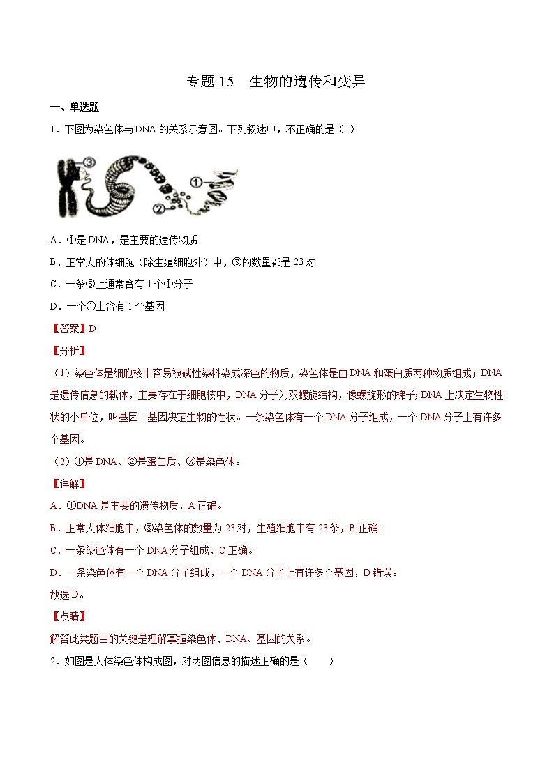 15 生物的遗传和变异（解析版）——【中考二轮复习】2023年生物通用版专题训练第1页
