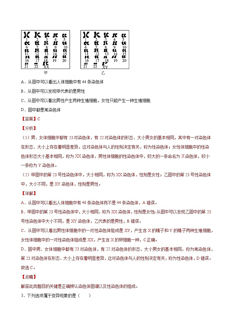 15 生物的遗传和变异（解析版）——【中考二轮复习】2023年生物通用版专题训练第2页