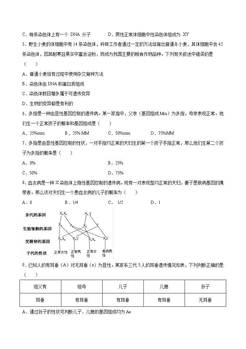 15 生物的遗传和变异（原卷版）——【中考二轮复习】2023年生物通用版专题训练第2页