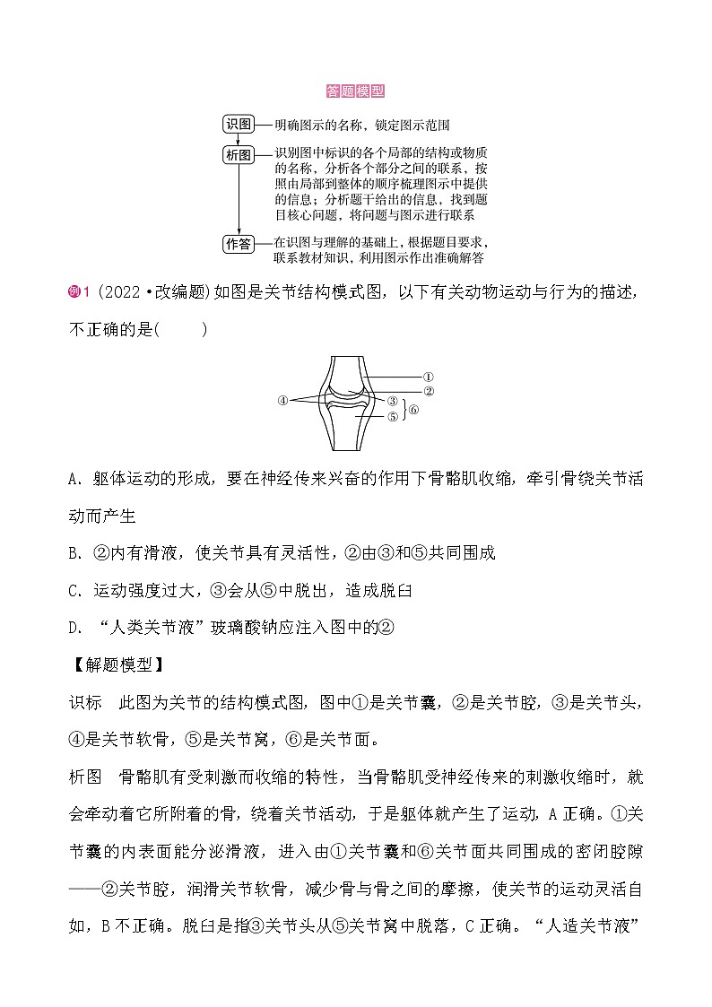 【中考二轮题型复习】2023年生物重难点题型专项复习——题型二 识图作答题 （含答案）02