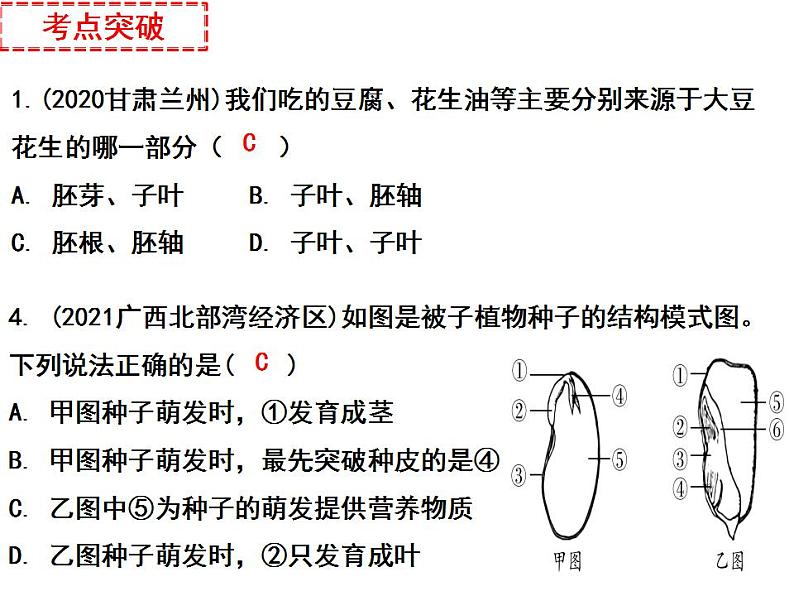 专题03 生物圈中的绿色植物和被子植物的一生——【中考二轮专题复习】2023年中考生物专题过关（课件）第6页