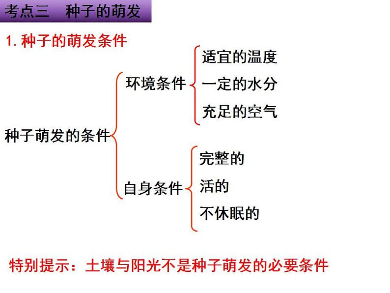 专题03 生物圈中的绿色植物和被子植物的一生——【中考二轮专题复习】2023年中考生物专题过关（课件）第7页