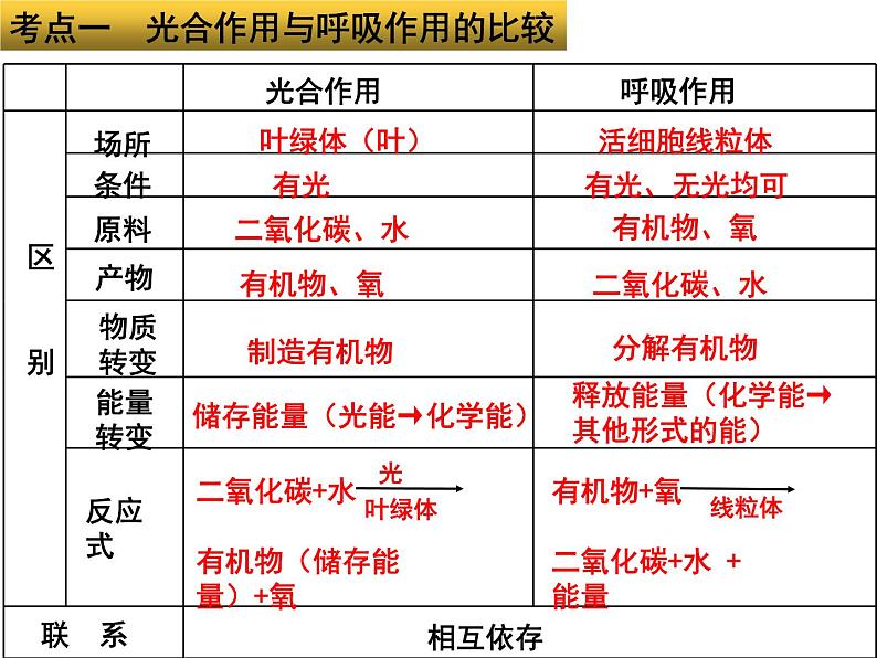 专题04 光合作用呼吸作用蒸腾作用——【中考二轮专题复习】2023年中考生物专题过关（课件）第3页