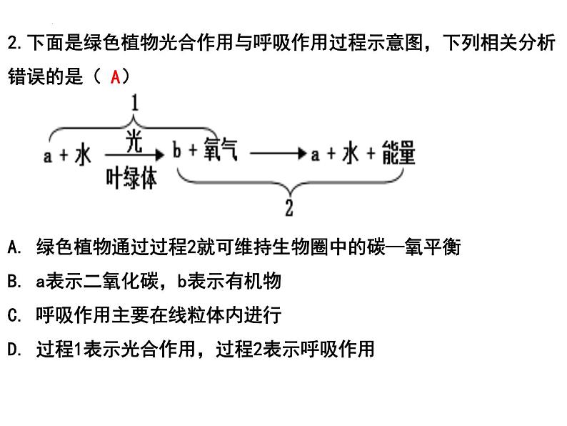 专题04 光合作用呼吸作用蒸腾作用——【中考二轮专题复习】2023年中考生物专题过关（课件）第5页