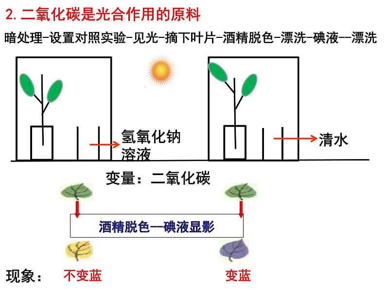 专题04 光合作用呼吸作用蒸腾作用——【中考二轮专题复习】2023年中考生物专题过关（课件）第7页