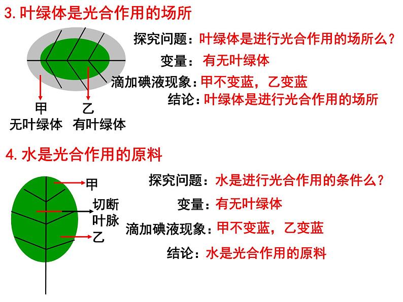 专题04 光合作用呼吸作用蒸腾作用——【中考二轮专题复习】2023年中考生物专题过关（课件）第8页