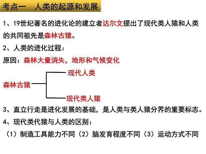 专题05 人的由来和营养——【中考二轮专题复习】2023年中考生物专题过关（课件）第3页