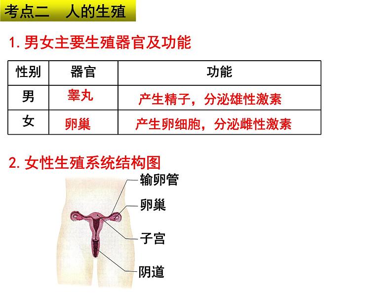 专题05 人的由来和营养——【中考二轮专题复习】2023年中考生物专题过关（课件）第5页